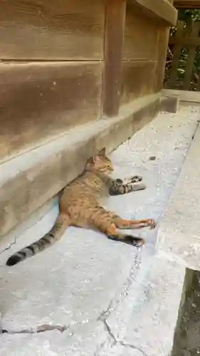 和泉國一之宮　大鳥大社の動物