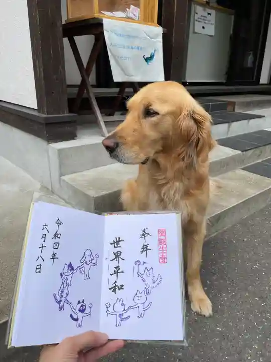 御誕生寺(猫寺)の御朱印