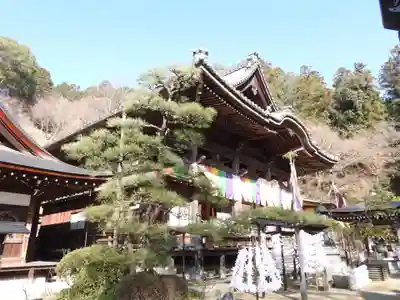 岡寺（龍蓋寺）(奈良県)