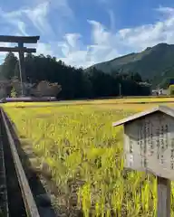 大斎原（熊野本宮大社旧社地）(和歌山県)