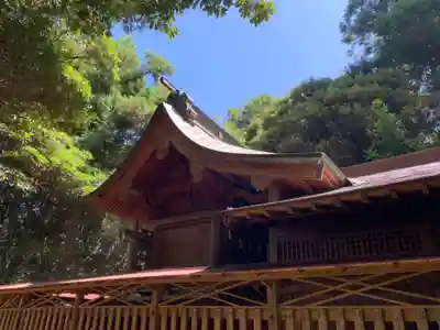 脇鷹神社(千葉県)