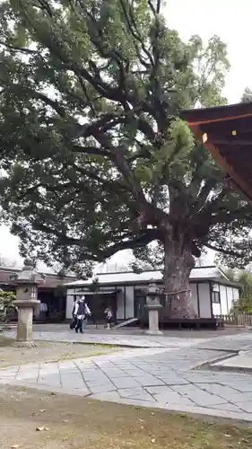 平野神社のその他建物