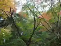 光福寺(山口県)