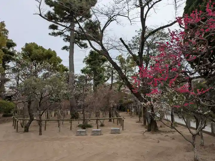 白幡天神社(千葉県)