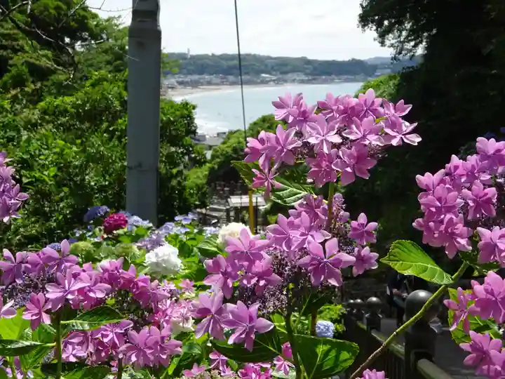 成就院(神奈川県)