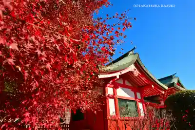 足利織姫神社(栃木県)