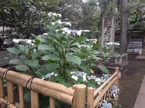 白金氷川神社(東京都)