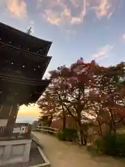 岡寺（龍蓋寺）(奈良県)