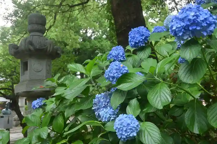常磐神社(茨城県)