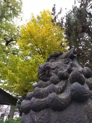 福井神社(福井県)