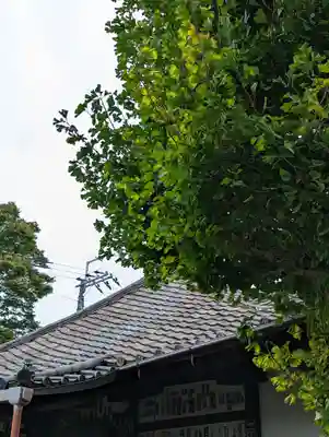 元慶寺(京都府)