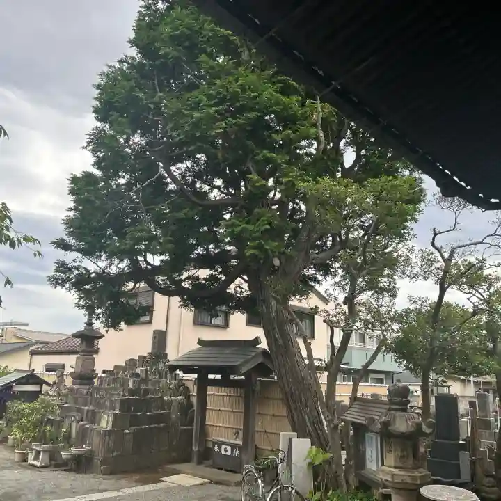 荘厳寺(神奈川県)