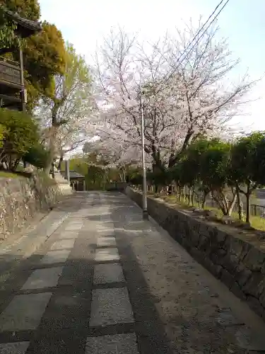 阿智神社の自然
