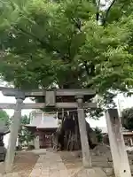 早尾神社(群馬県)