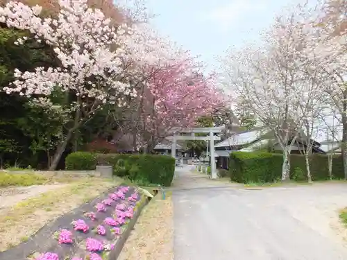立志神社の自然