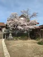 津田八幡宮の自然