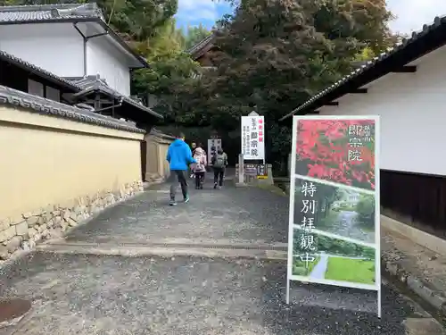 龍吟庵（竜吟庵）(京都府)