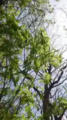 相馬神社(北海道)