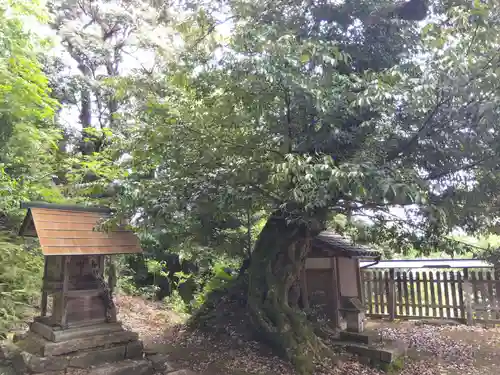 信露貴彦神社(福井県)