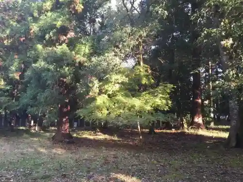 出石神社の自然