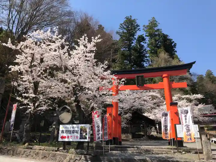 金櫻神社(山梨県)