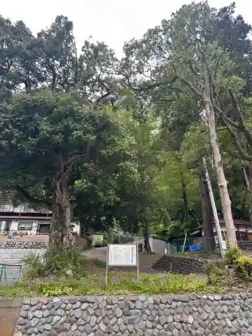 皷楽神社(山梨県)