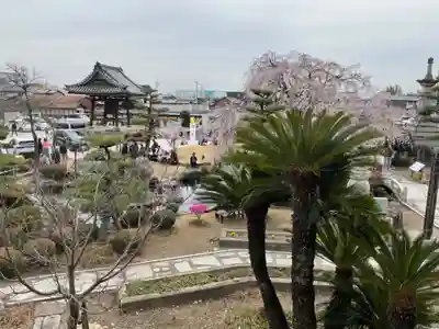 正眼寺(愛知県)