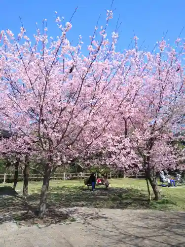 氷川女體神社(埼玉県)