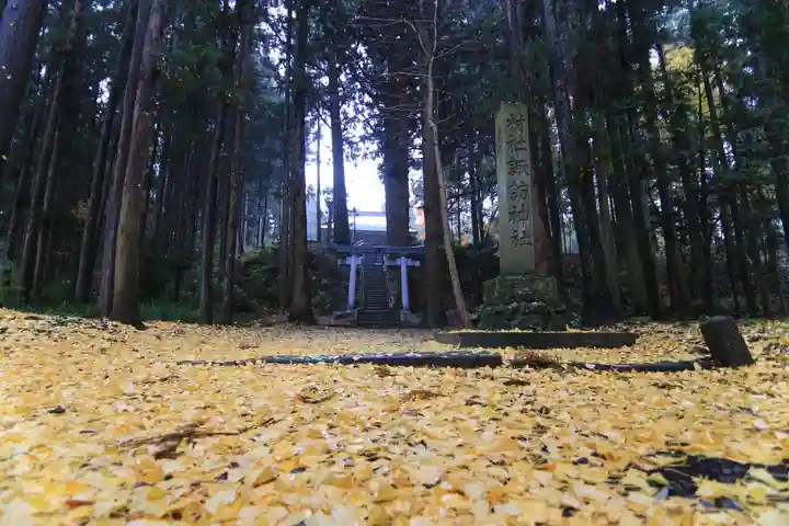 諏訪神社の自然