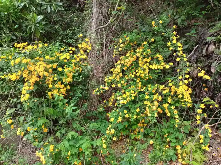加波山三枝祇神社親宮拝殿(茨城県)