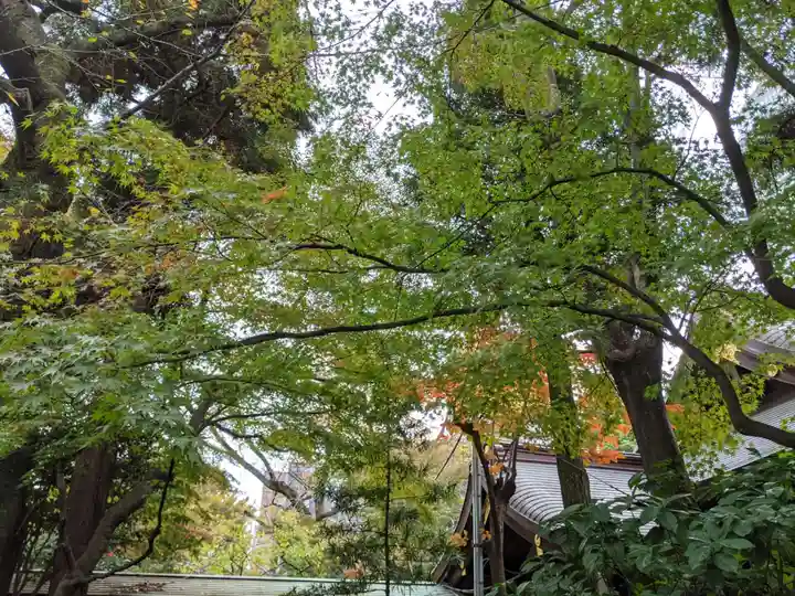 愛宕神社の自然