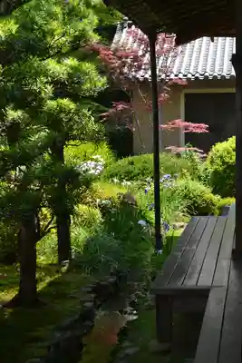 隨心院(随心院)(京都府)