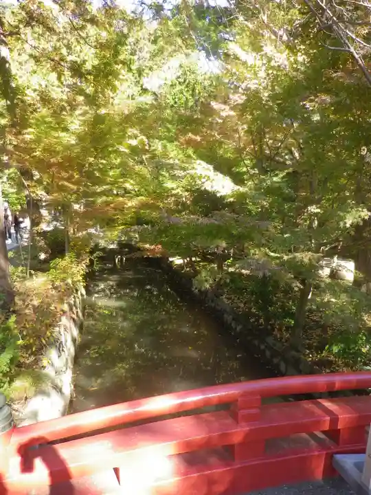 鶴岡八幡宮の庭園