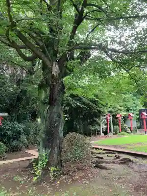 新倉氷川八幡神社(埼玉県)