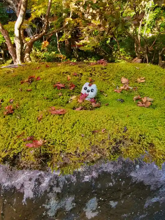 五所駒瀧神社(茨城県)