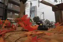 阿邪訶根神社の手水