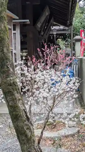 白雲神社(京都府)