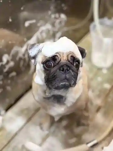 本昌寺(大阪府)