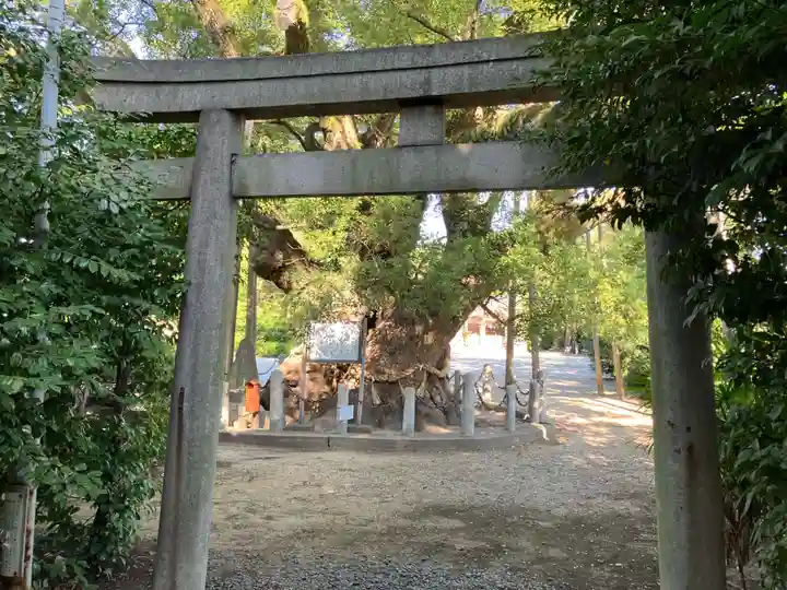 大宮神社(愛知県)