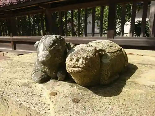 小松天満宮の狛犬