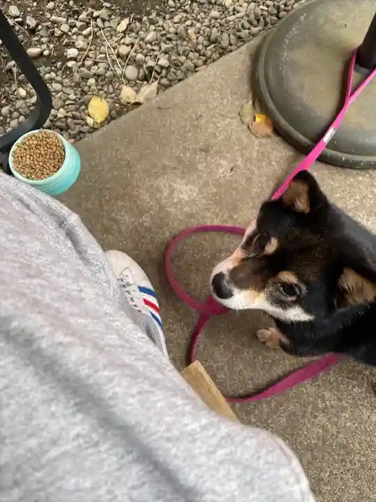 上目黒氷川神社(東京都)