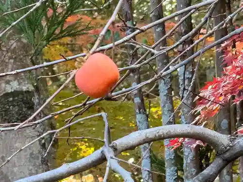 伊勢の国 四天王寺(三重県)