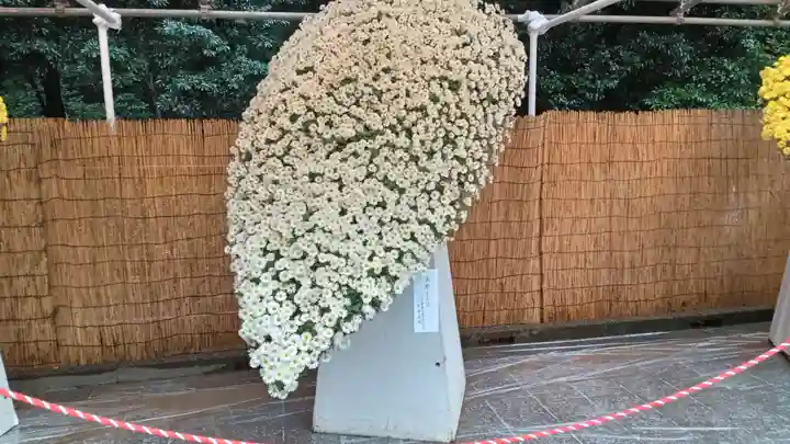 明治神宮(東京都)