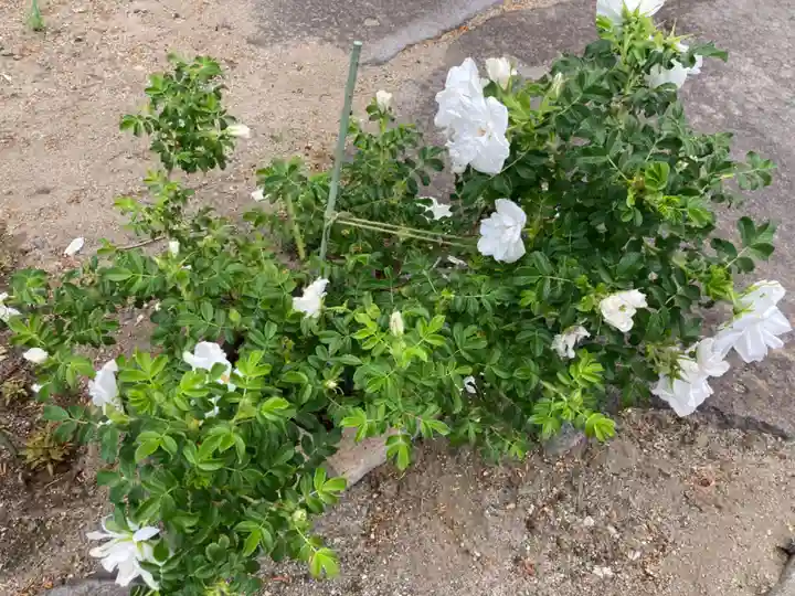 宝光寺(北海道)