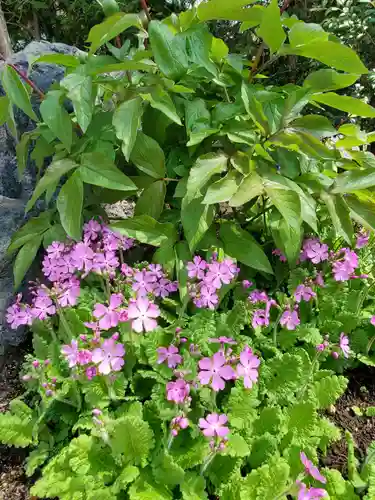 神祇遥拝殿の周辺