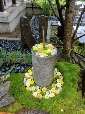 行田八幡神社の{uncategorized: "未分類", other: "その他", undefined: "問題あり", building: "その他建物", grave: "お墓", sacred_gate: "鳥居", guardian: "狛犬", statue: "像", buddha: "仏像", history: "歴史", nature: "自然", garden: "庭園", animal: "動物", pagoda: "塔", temizu: "手水舎", mountain_gate: "山門・神門", sanctuary: "本殿・本堂", subordinate: "末社・摂社", art: "芸術", scenery: "景色", jizo: "地蔵", ema: "絵馬", goshuin: "御朱印", omikuji: "おみくじ", items: "授与品その他", amulet: "お守り", goshuincho: "御朱印帳", eats: "食事", festival: "お祭り", votive_dance: "神楽", shichigosan: "七五三参", wedding: "結婚式", experience: "体験その他", initially: "初詣", around: "周辺", anti_infection: "感染症対策"}