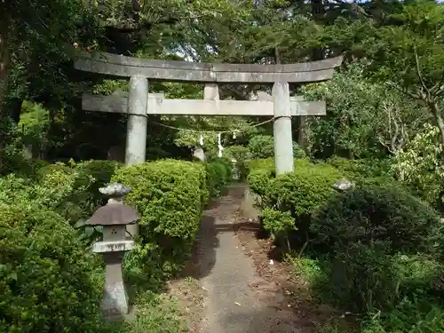 武州白子熊野神社の鳥居