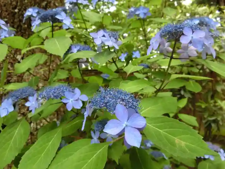 宝積山光前寺の自然