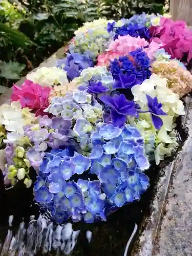 本郷氷川神社(東京都)