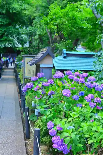 妙楽寺(神奈川県)